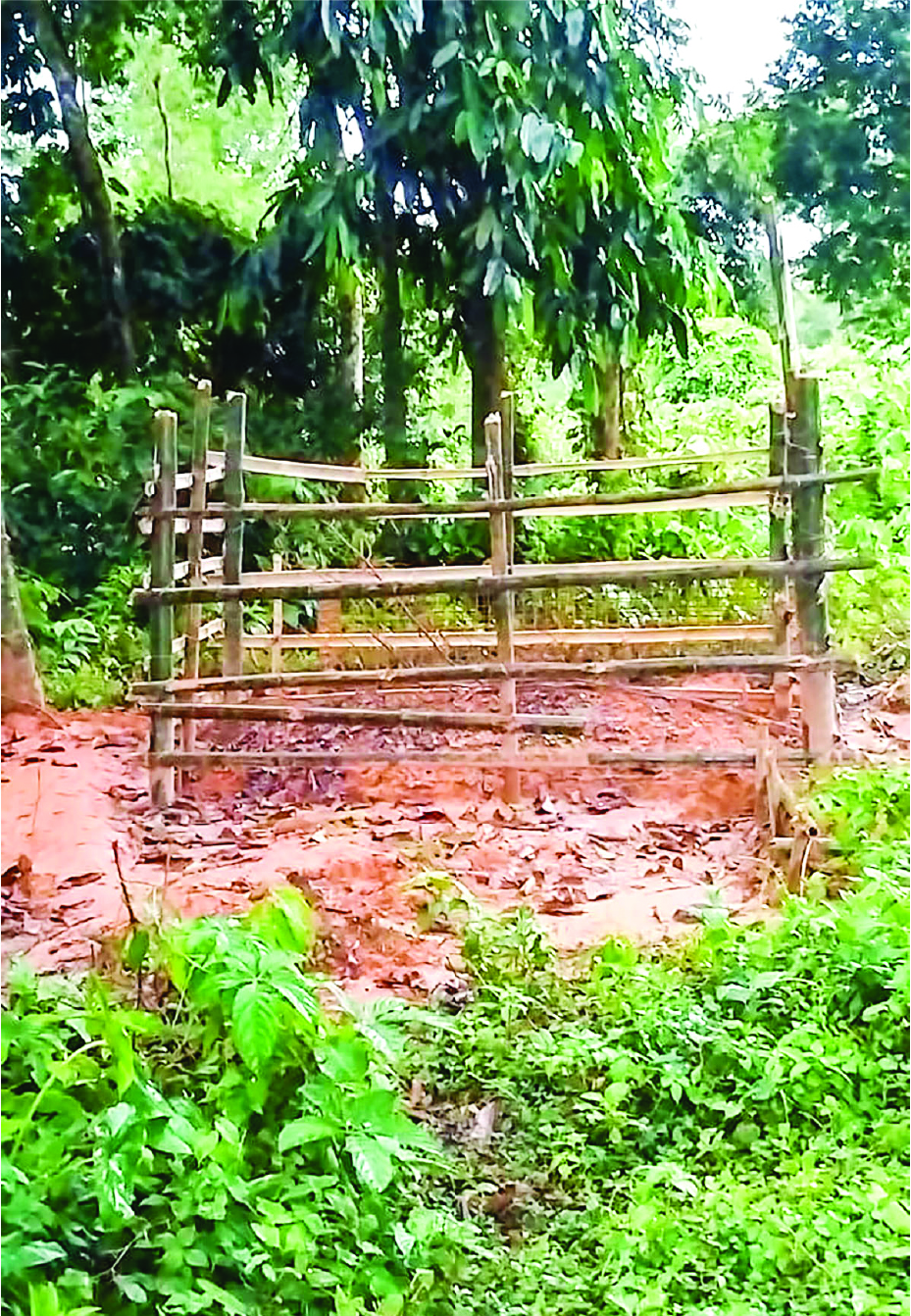 Image of জয় আহমেদ হাসান